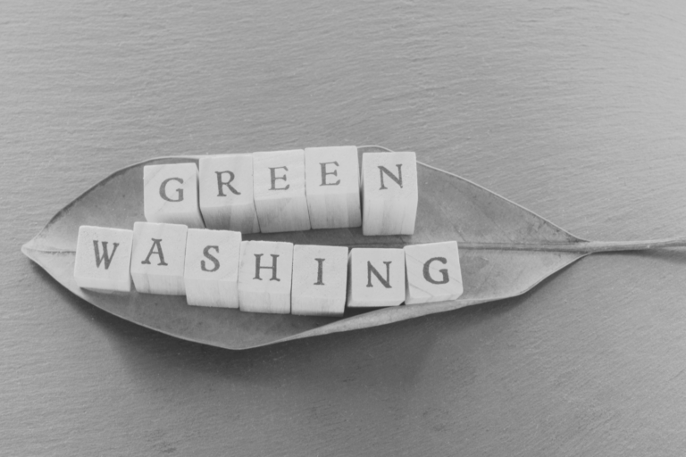 Greenwashing e1727281104216